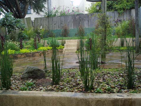 teresita-1