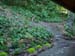 toyon-3